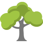 Smyrna Tree Trimming Service