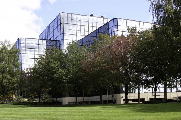 Commercial Tree Trimming in Smyrna