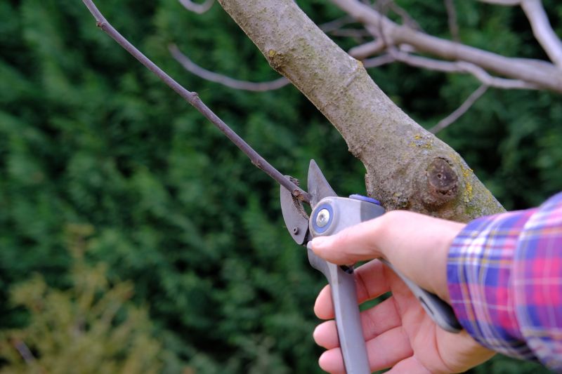 Pruning Tools and Techniques