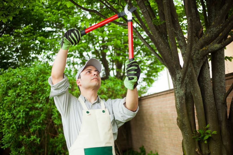 Eco-Friendly Tree Trimmers